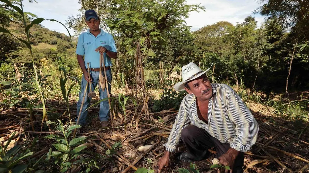 Sader aplicacion para tierras agricolas